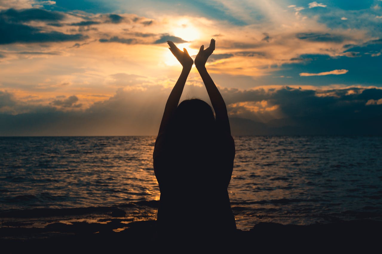 To Begin Again: Lessons in Surrender and Gratitude